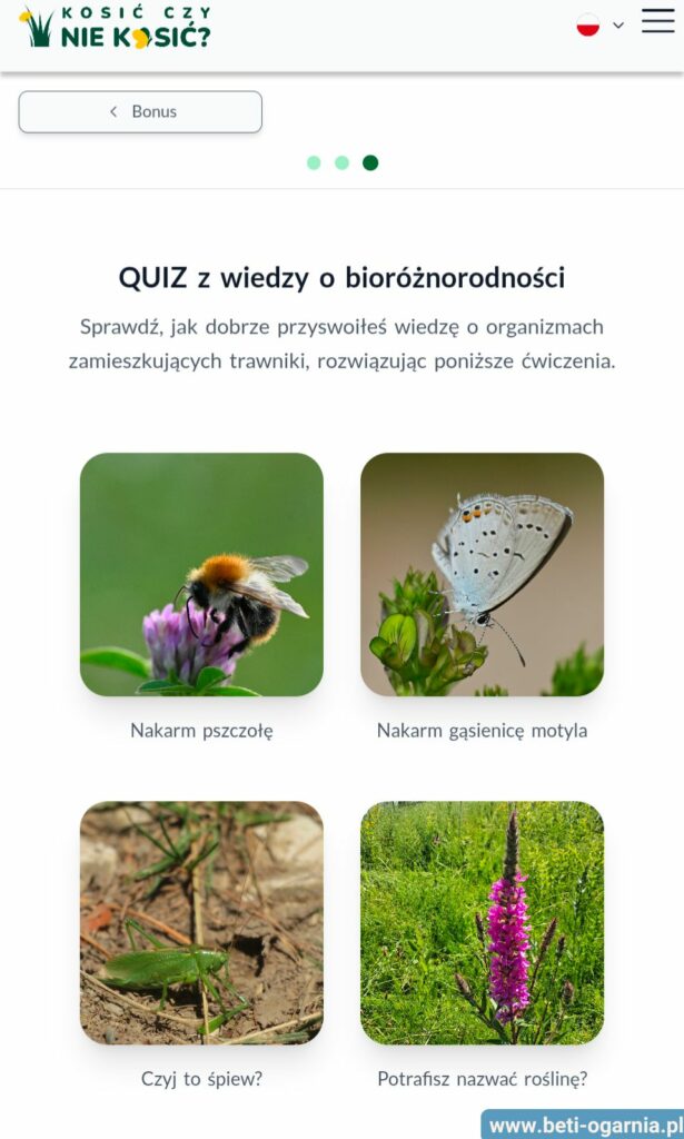 cztery zielone kafelki wyboru rodzajów quizów o bioróżnorodności w aplikacji Kosić nie kosić - Nakarm pszczołę, nakarm gąsienicę motyla, czyj to śpiew, potrafisz nazwać roślinę?